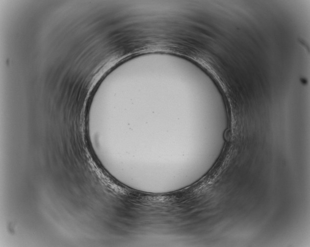 X0000100340949200806261323