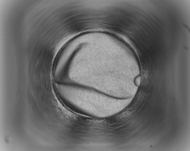 X0000100340951200806261323