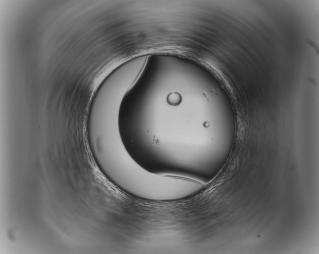 X0000100340952200806261323