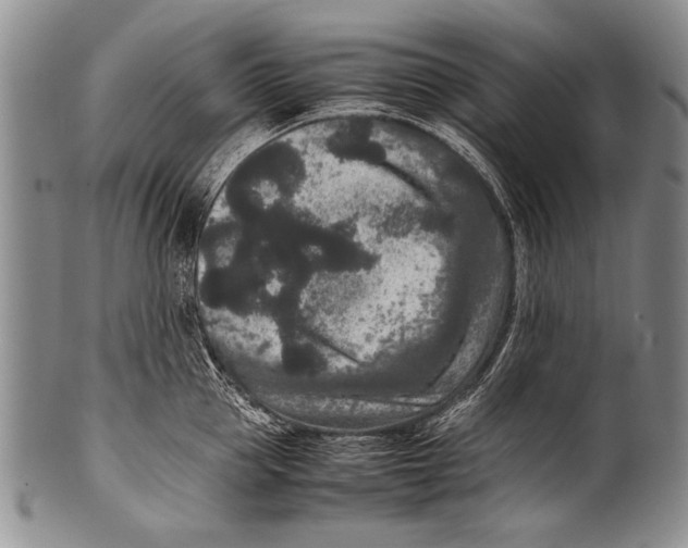 X0000100340953200806261323