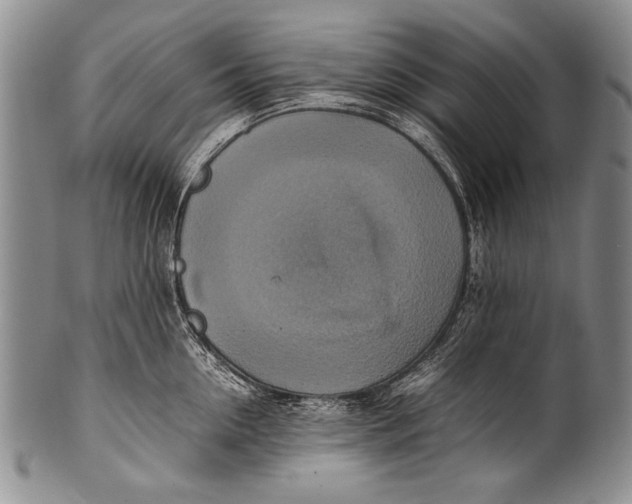 X0000100340954200806261323