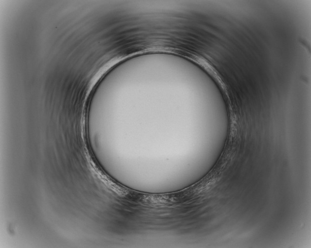 X0000100340955200806261323