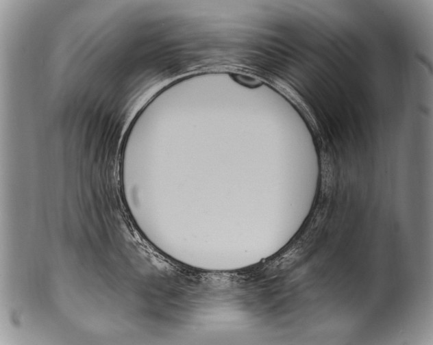 X0000100340956200806261323