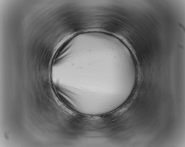 X0000100340957200806261323