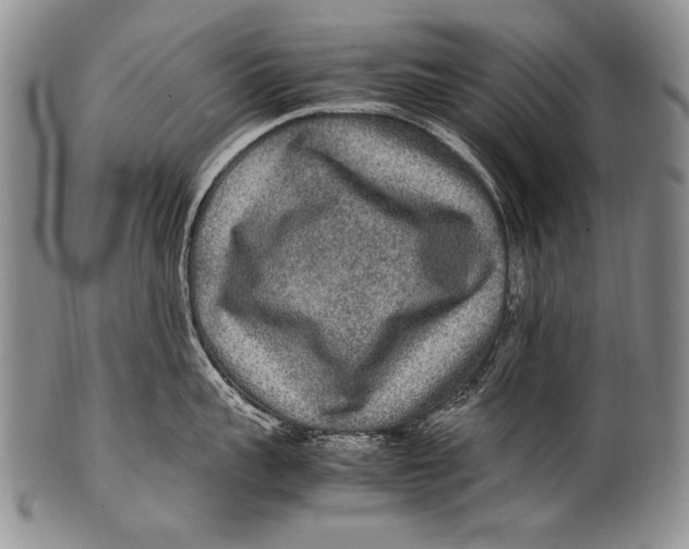 X0000100340959200806261323