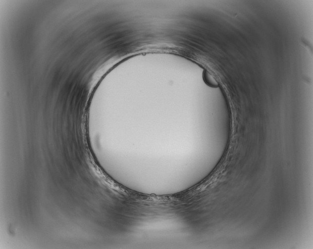 X0000100340960200806261323