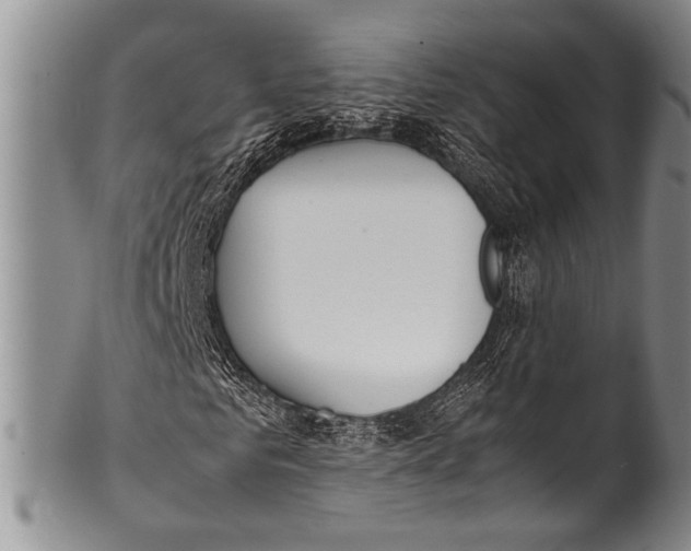 X0000100340961200806261323