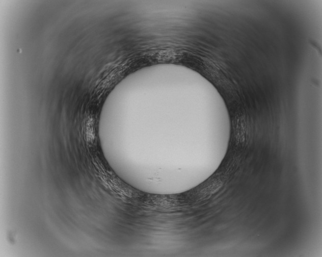 X0000100340962200806261323