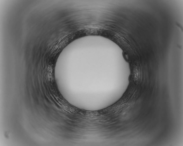 X0000100340964200806261323