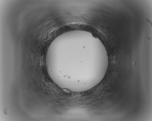 X0000100340965200806261322