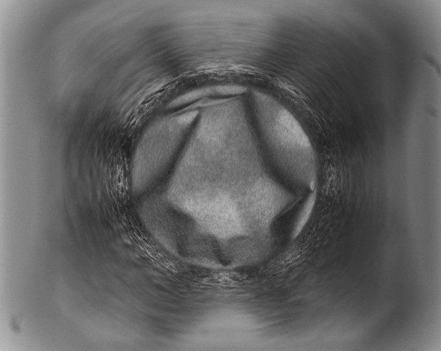 X0000100340966200806261322