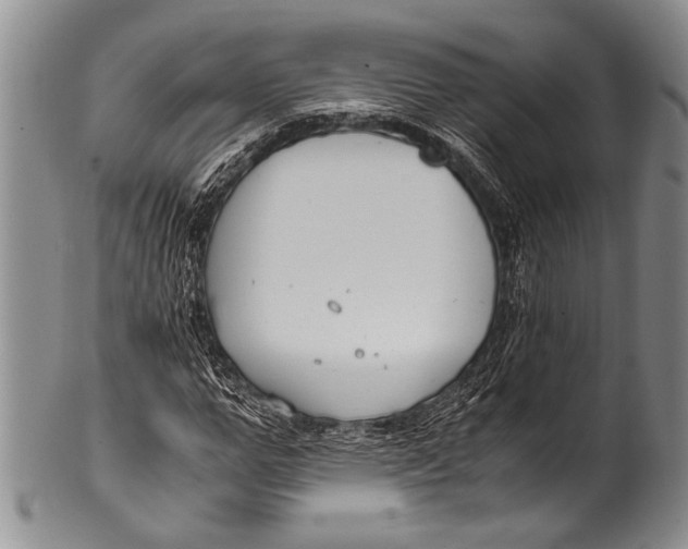 X0000100340967200806261322