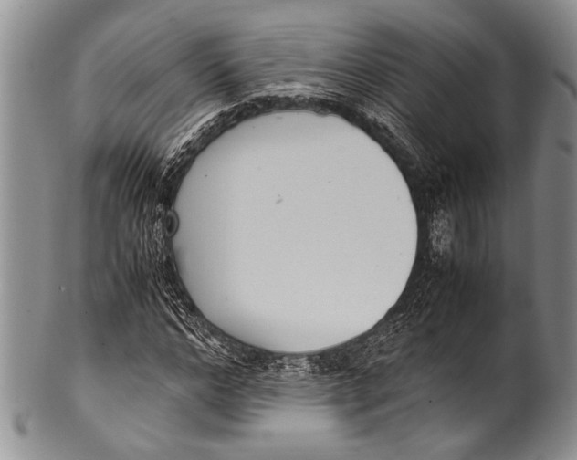 X0000100340968200806261322