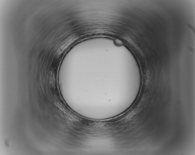 X0000100340969200806261322