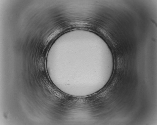 X0000100340970200806261322