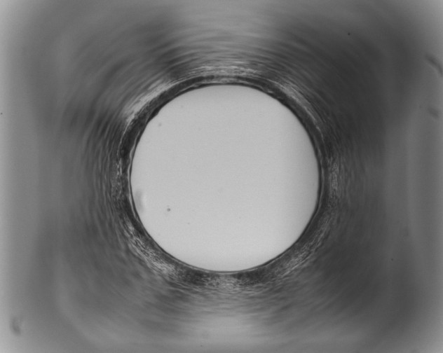 X0000100340971200806261322