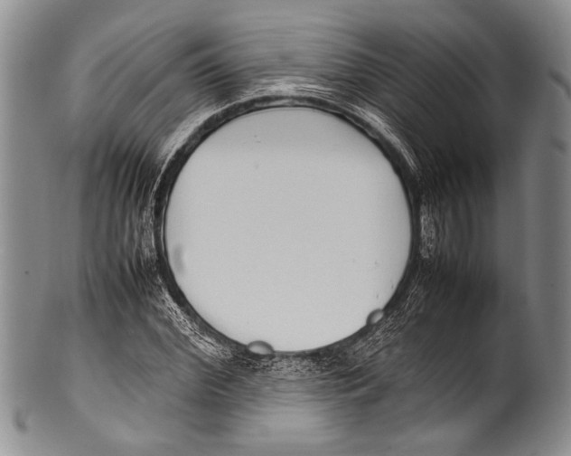 X0000100340972200806261322