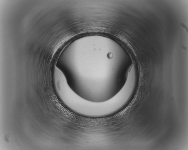 X0000100340973200806261322