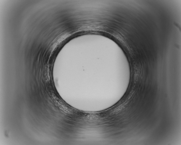 X0000100340974200806261322