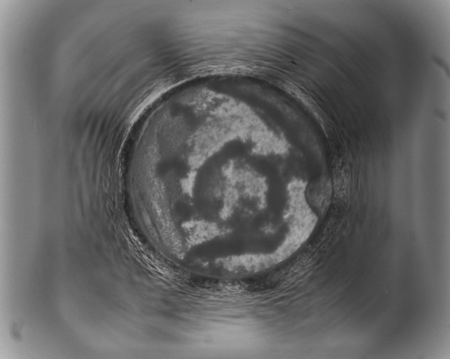 X0000100340975200806261322