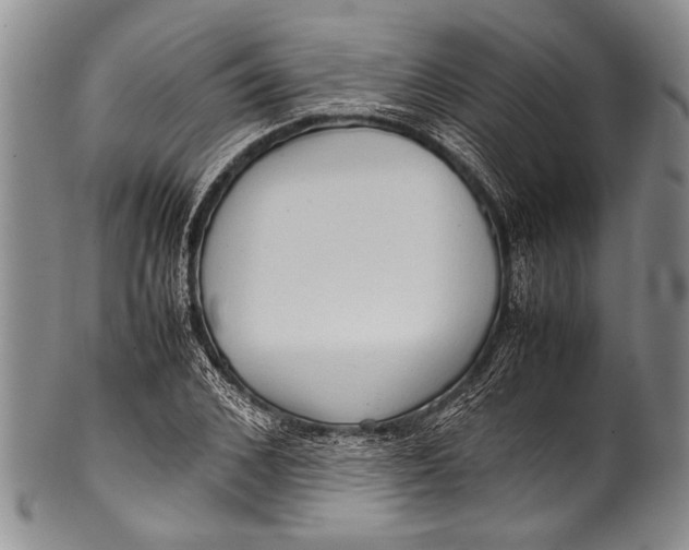 X0000100340976200806261322