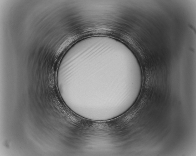 X0000100340978200806261322