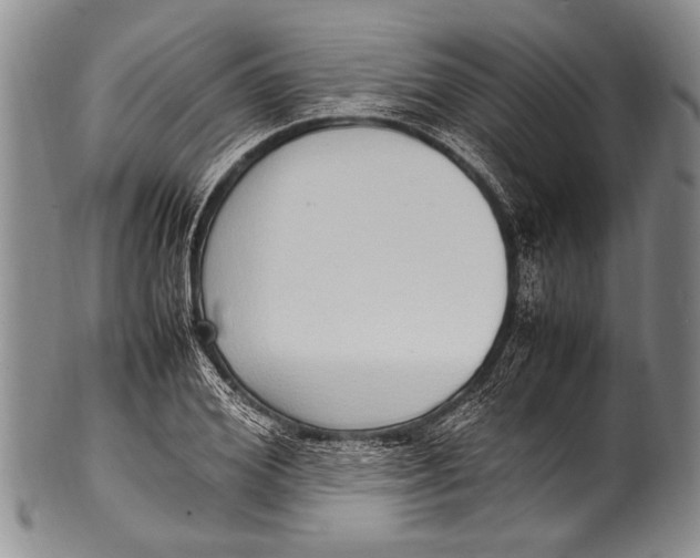 X0000100340980200806261322