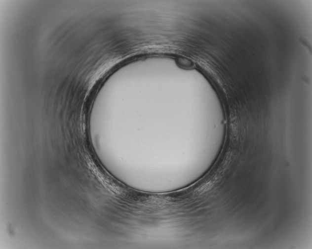 X0000100340981200806261322