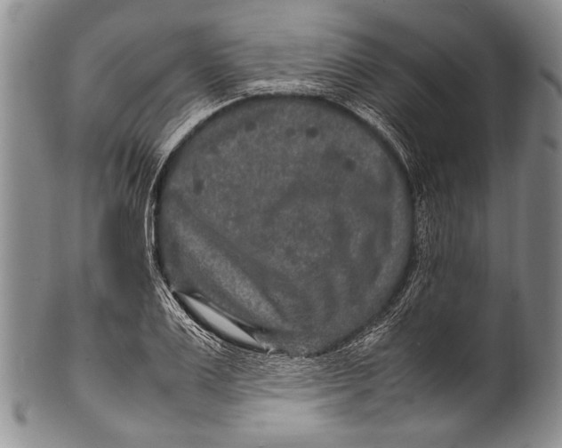 X0000100340983200806261322