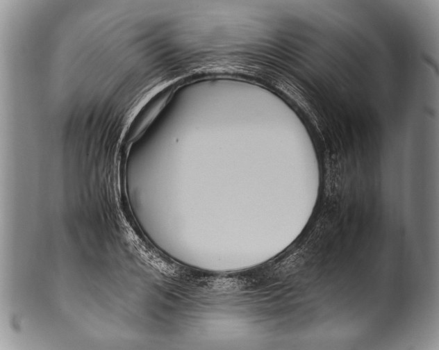 X0000100340984200806261322