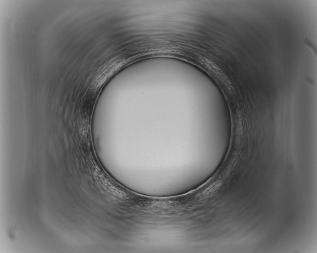 X0000100340985200806261322