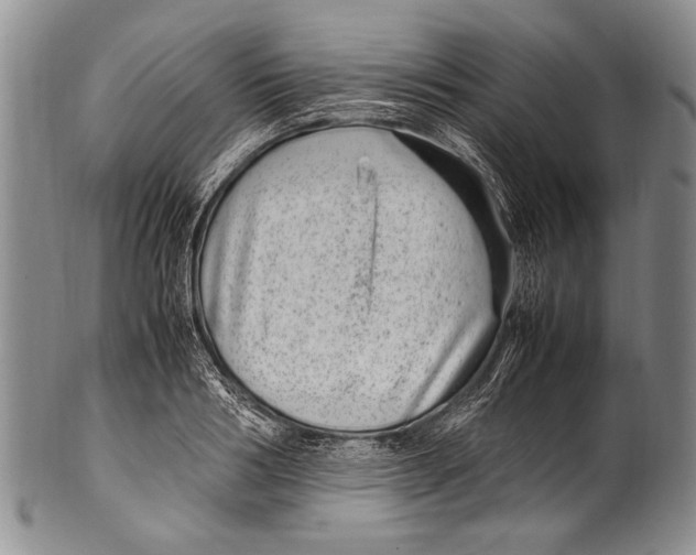 X0000100340986200806261322