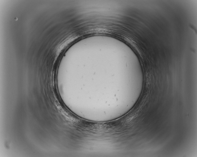 X0000100340987200806261322