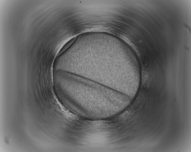 X0000100340988200806261322