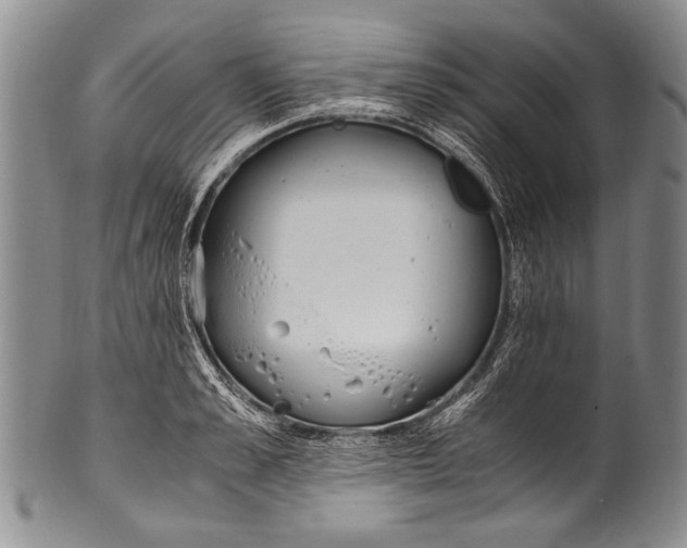 X0000100340989200806261322