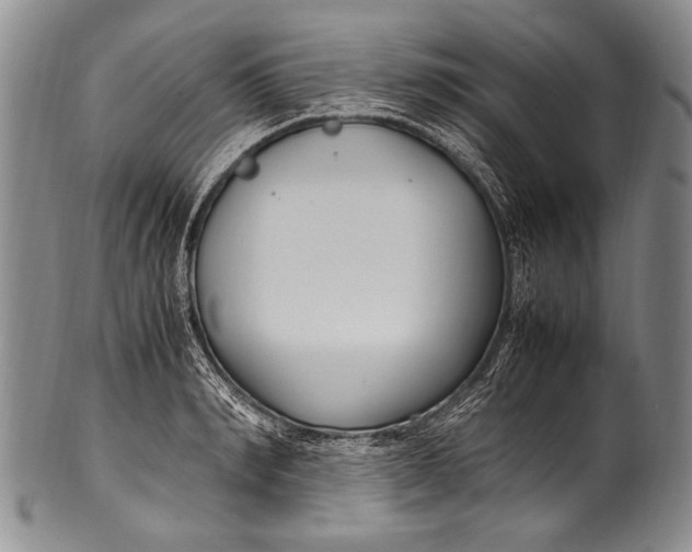 X0000100340990200806261322