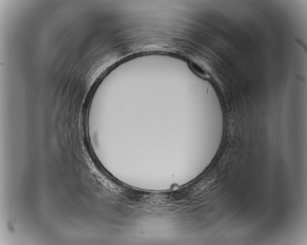 X0000100340991200806261322