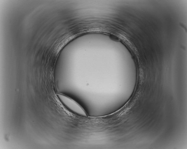 X0000100340993200806261322