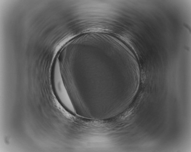 X0000100340995200806261322