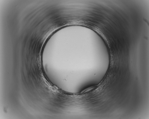 X0000100340996200806261322