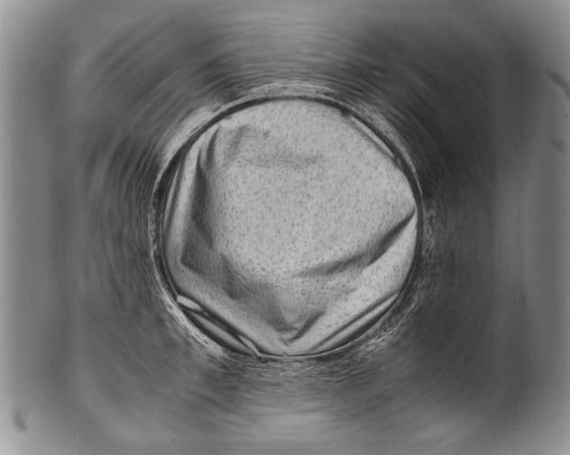 X0000100340997200806261322