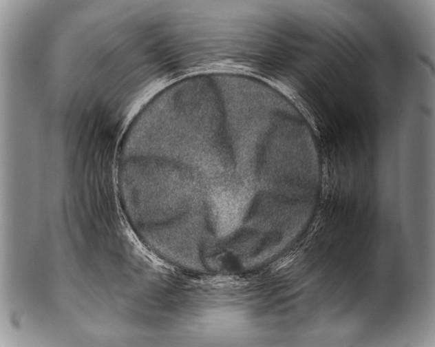 X0000100340998200806261322