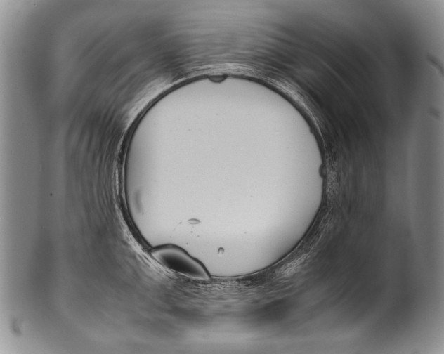 X0000100340999200806261322