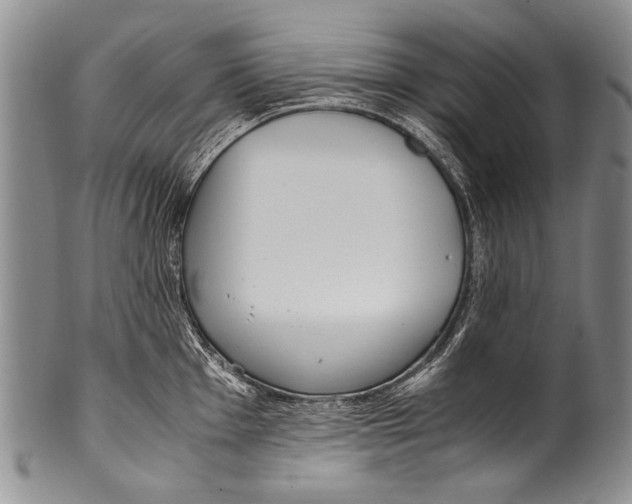 X0000100341001200806261322