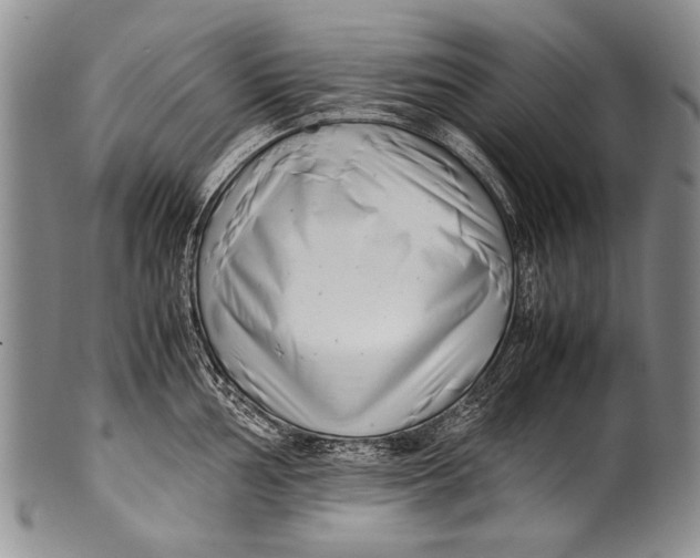 X0000100341002200806261322