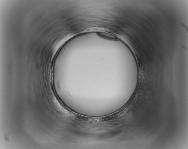 X0000100341003200806261322