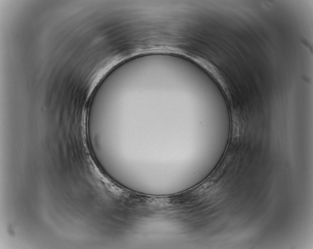 X0000100341006200806261322