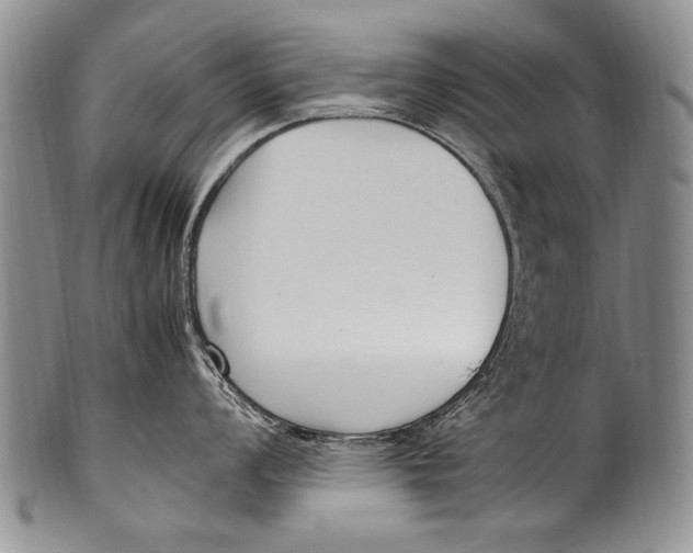 X0000100341008200806261322