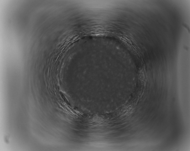 X0000100341009200806261321