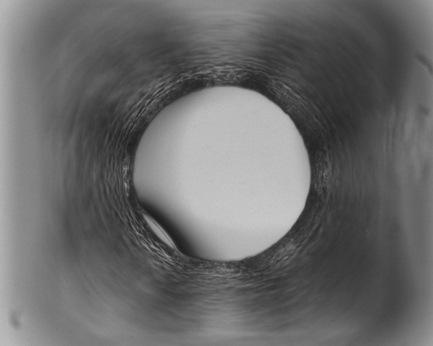 X0000100341010200806261321